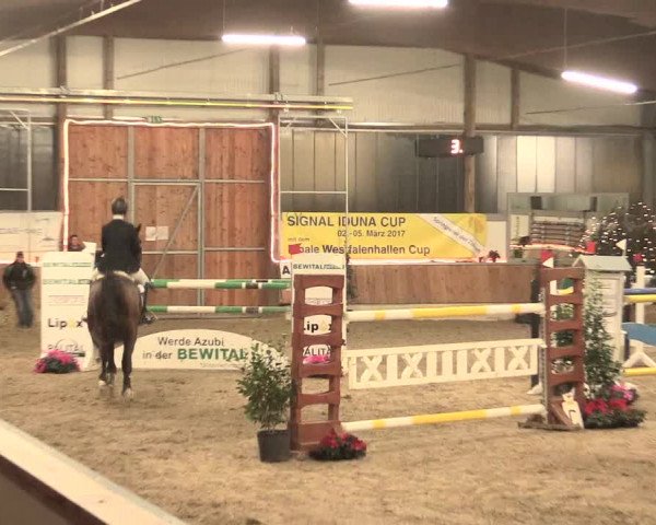 Reitturnier Südlohn-Oeding 2016