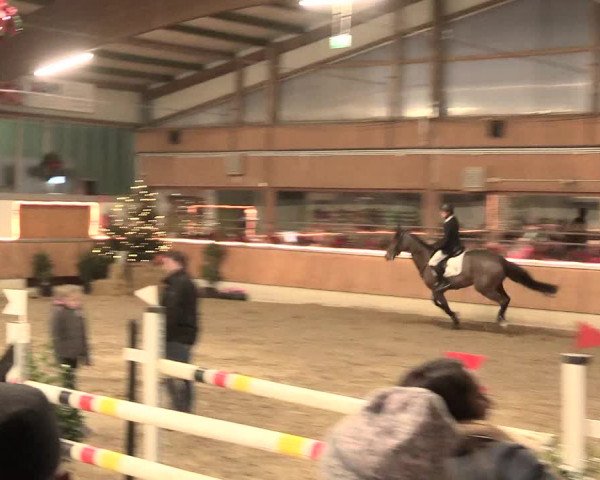 Reitturnier Südlohn-Oeding 2016