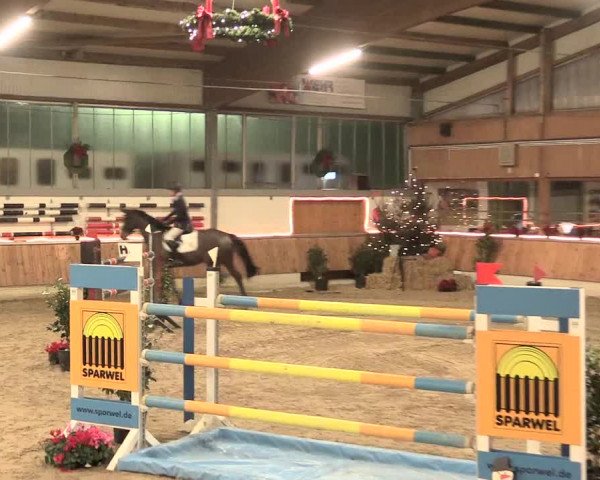 Reitturnier Südlohn-Oeding 2016