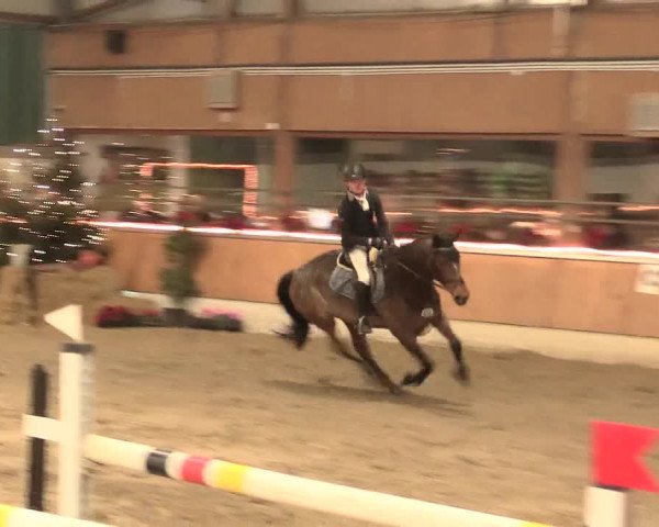 Reitturnier Südlohn-Oeding 2016
