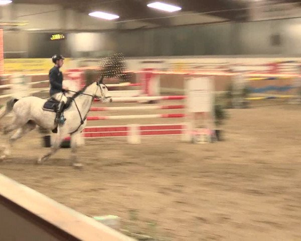 Turniej Jeździecki Südlohn-Oeding 2016