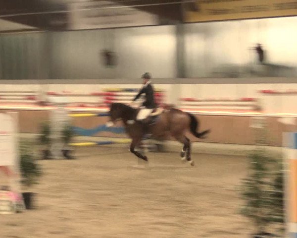 Reitturnier Südlohn-Oeding 2016