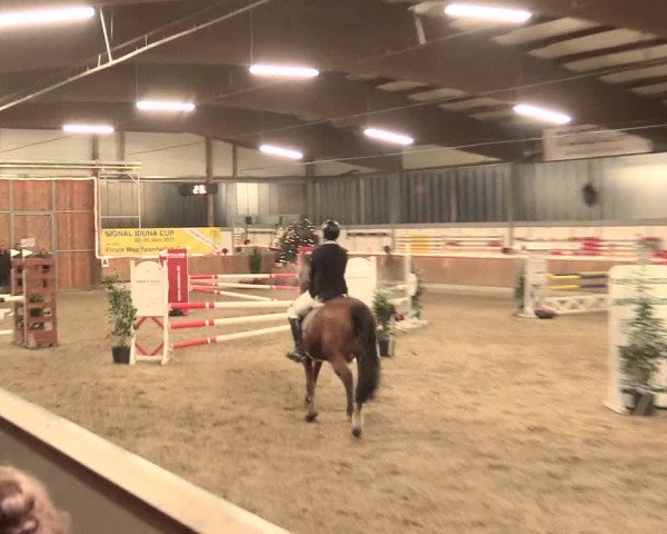 Reitturnier Südlohn-Oeding 2016