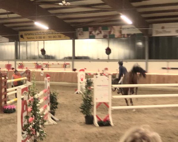 Reitturnier Südlohn-Oeding 2016