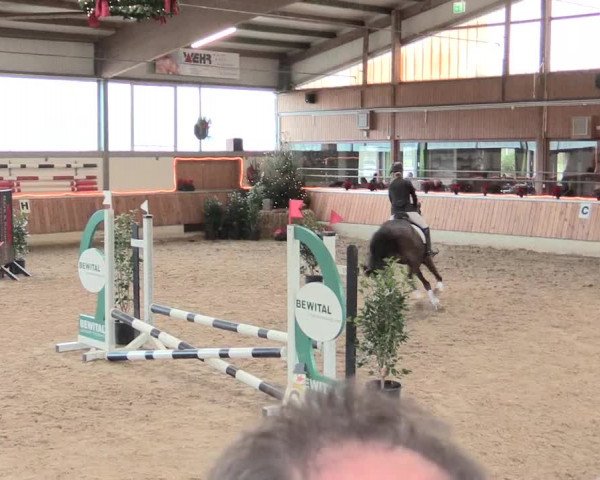 Reitturnier Südlohn-Oeding 2016