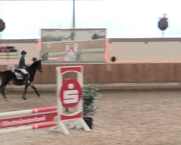 Reitturnier Südlohn-Oeding 2016