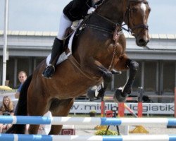 broodmare Carlotta SH (Westphalian, 2009, from Cornado NRW)
