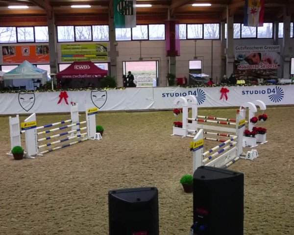 Christmas Jumping Trophy Prussendorf 2021