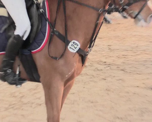 Reitturnier Südlohn-Oeding 2016