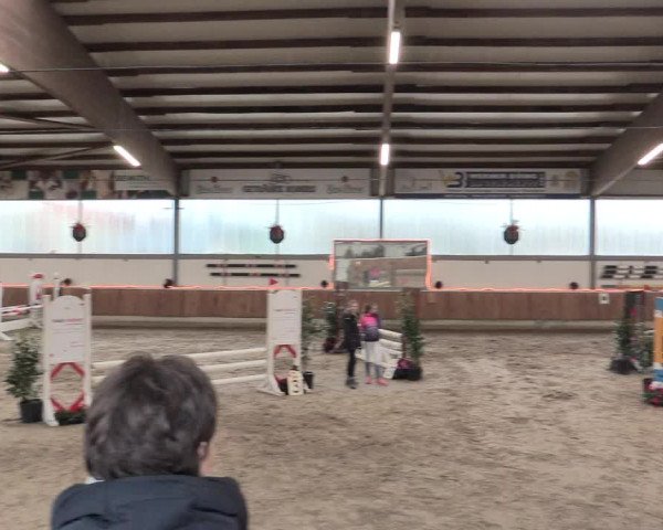 Reitturnier Südlohn-Oeding 2016