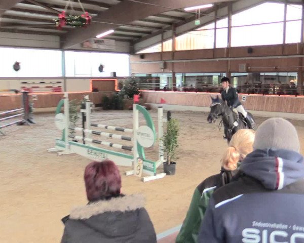 Reitturnier Südlohn-Oeding 2016