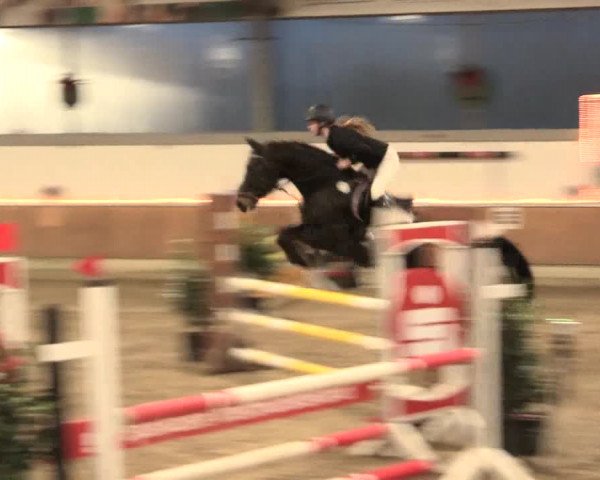 Reitturnier Südlohn-Oeding 2016