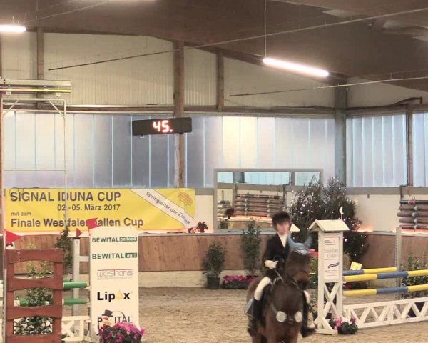 Reitturnier Südlohn-Oeding 2016