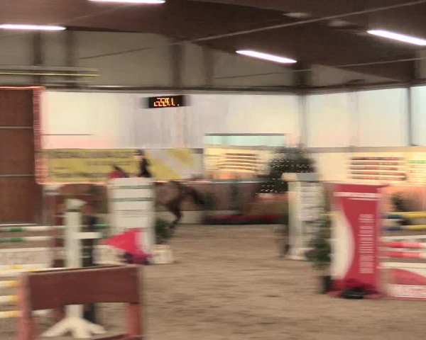 Reitturnier Südlohn-Oeding 2016