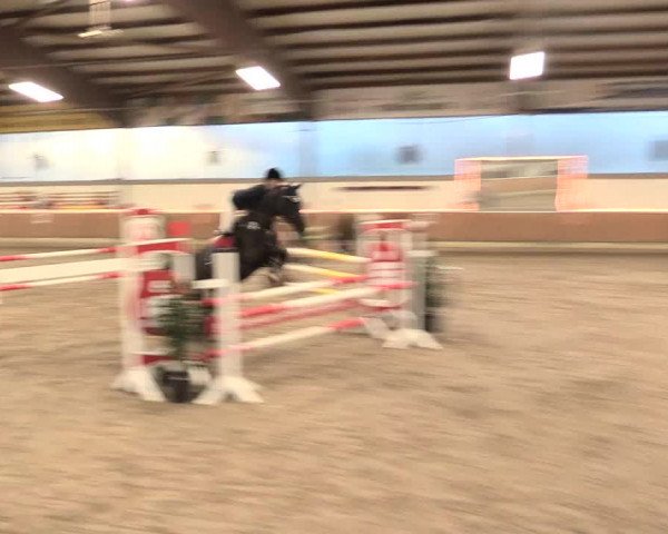 Reitturnier Südlohn-Oeding 2016