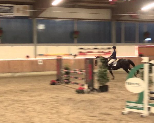 Reitturnier Südlohn-Oeding 2016