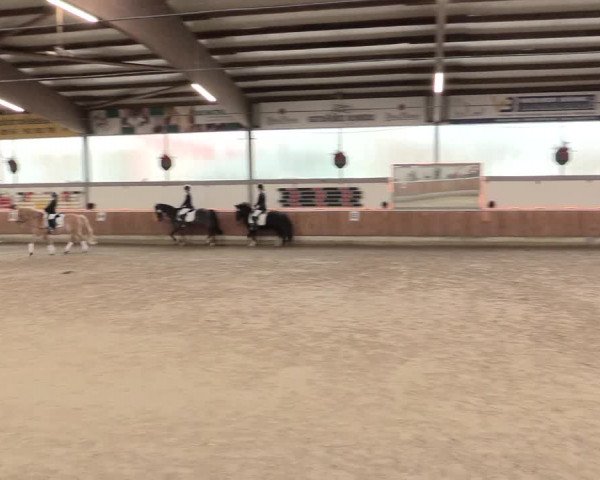 Reitturnier Südlohn-Oeding 2016