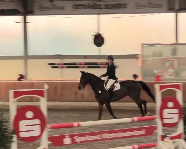 Reitturnier Südlohn-Oeding 2016