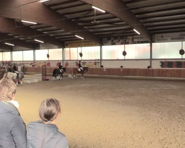 Reitturnier Südlohn-Oeding 2016