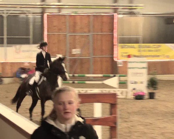 Reitturnier Südlohn-Oeding 2016