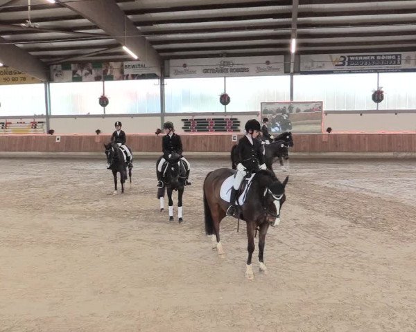 Reitturnier Südlohn-Oeding 2016