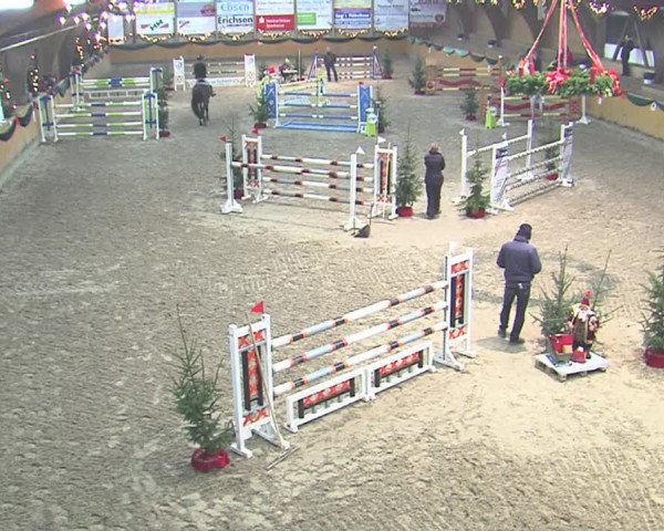 Reitturnier Leck 2016