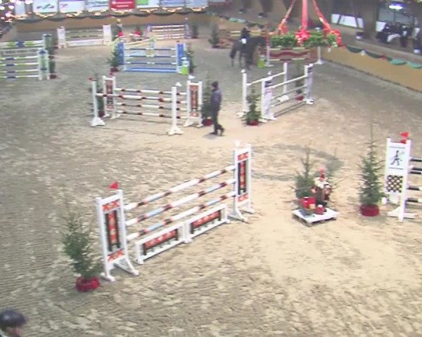 Reitturnier Leck 2016