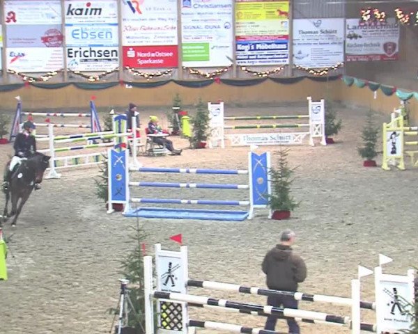 Reitturnier Leck 2016
