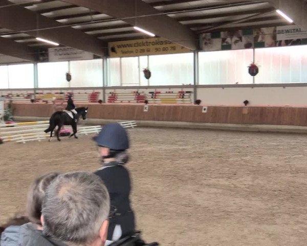 Reitturnier Südlohn-Oeding 2016