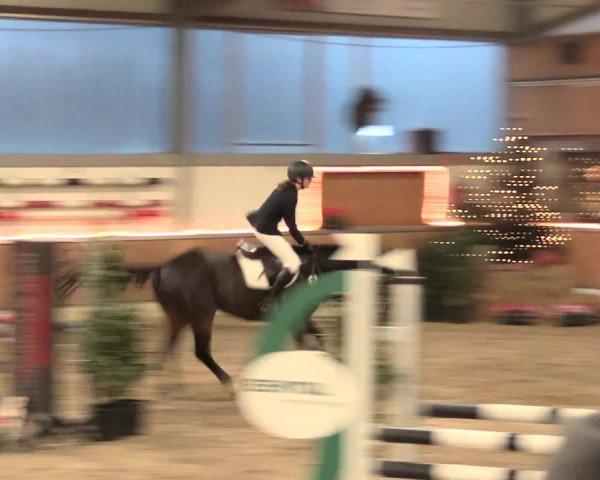 Reitturnier Südlohn-Oeding 2016