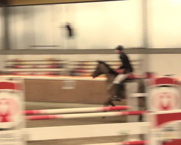 Reitturnier Südlohn-Oeding 2016