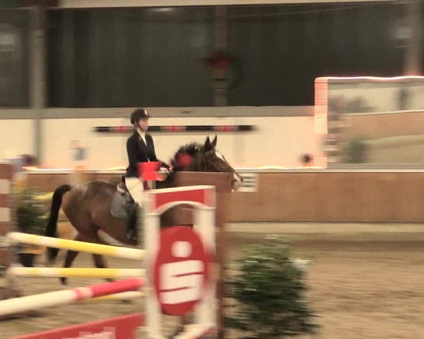 Reitturnier Südlohn-Oeding 2016