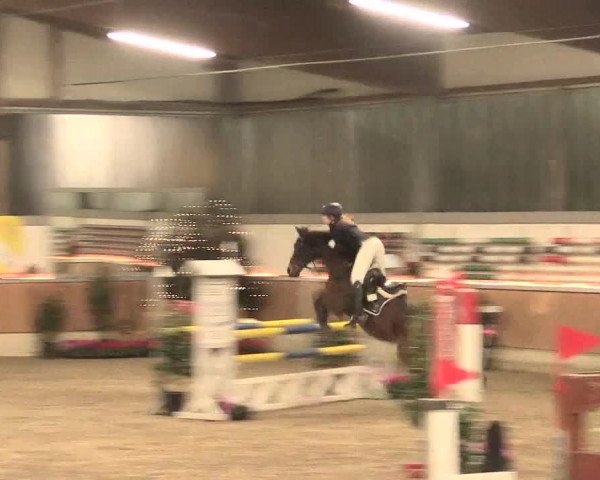 Reitturnier Südlohn-Oeding 2016