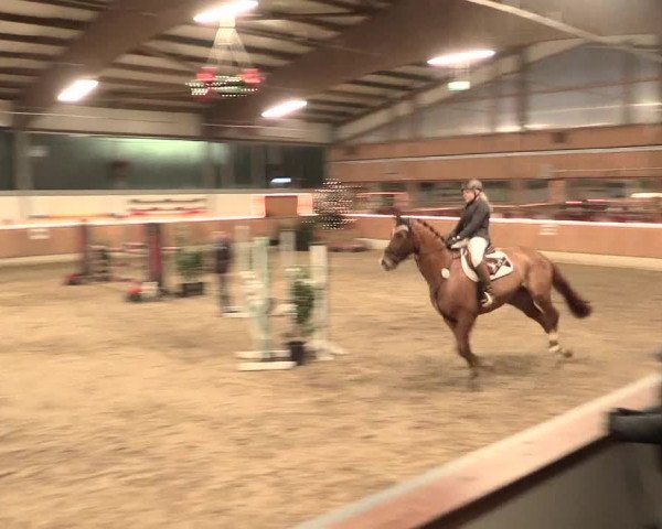 Reitturnier Südlohn-Oeding 2016