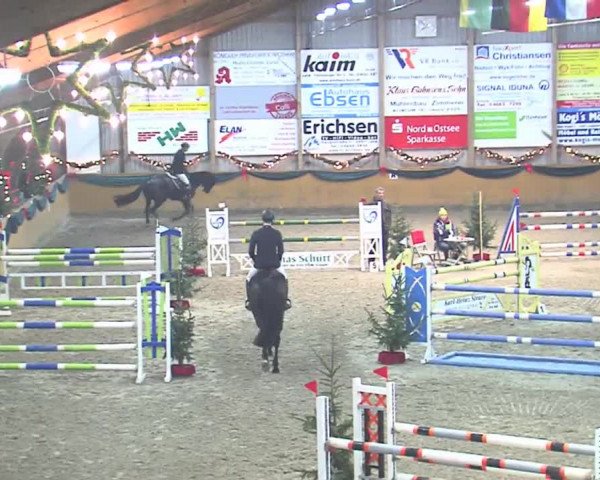 Reitturnier Leck 2016