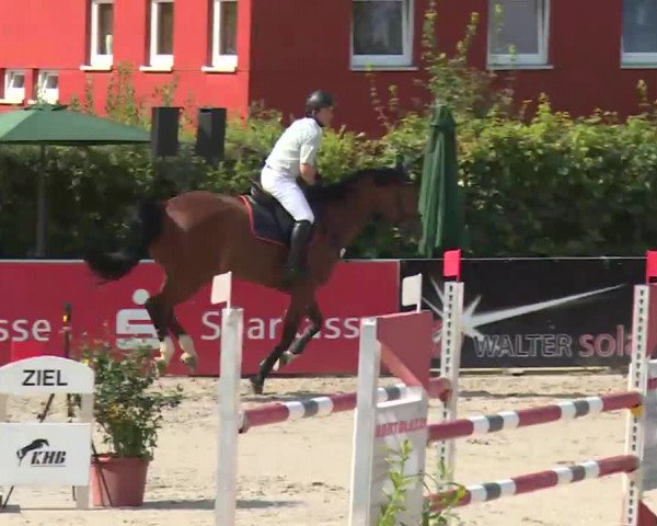 HORSE classics Killingen 2016