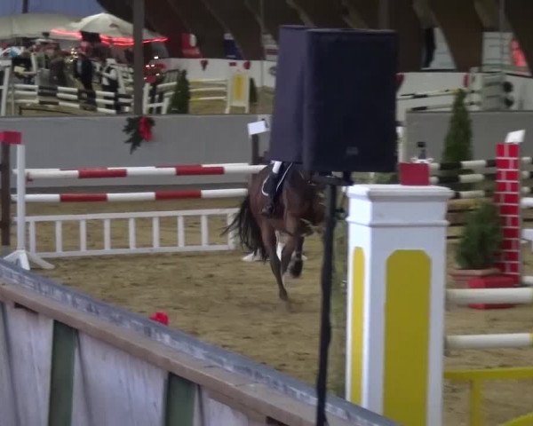 Winterchampionat Essen-Stadtwald 2016