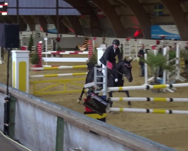Winterchampionat Essen-Stadtwald 2016