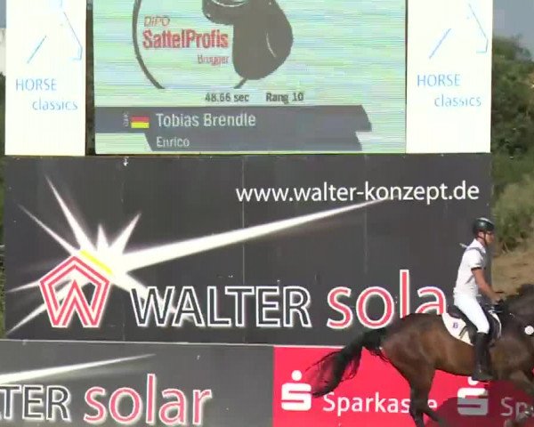 HORSE classics Killingen 2016
