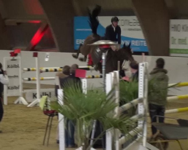 Winterchampionat Essen-Stadtwald 2016