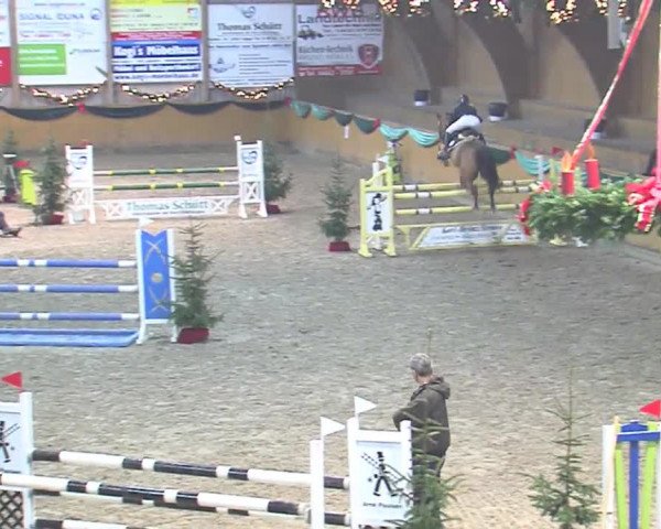 Reitturnier Leck 2016
