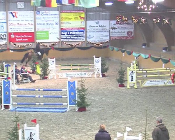 Reitturnier Leck 2016