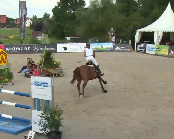 HORSE classics Killingen 2016