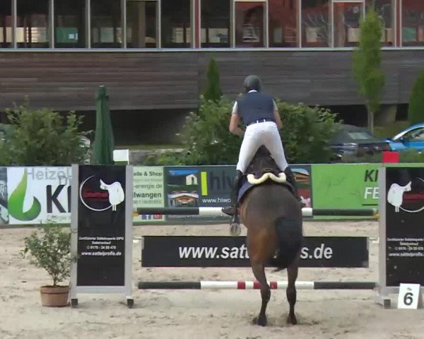 HORSE classics Killingen 2016