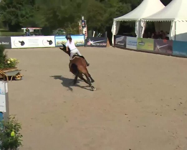 HORSE classics Killingen 2016