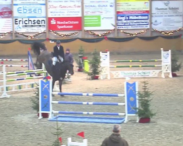 Reitturnier Leck 2016
