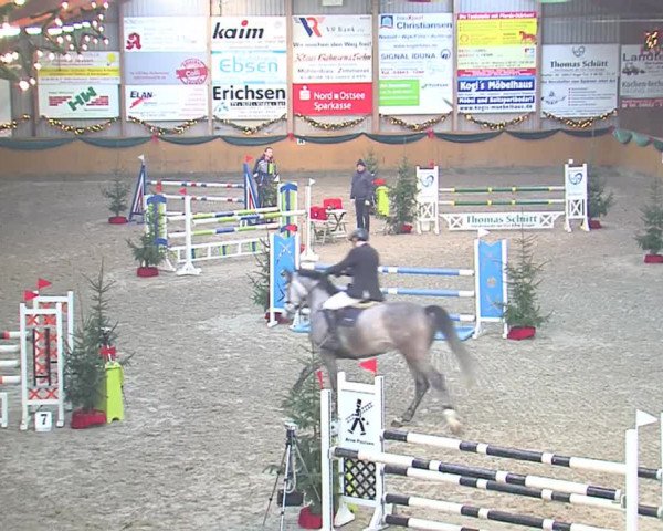 Reitturnier Leck 2016