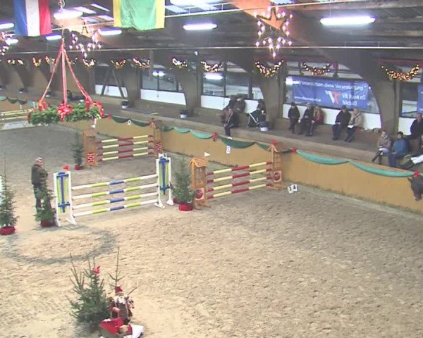 Reitturnier Leck 2016