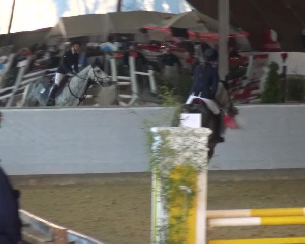 Winterchampionat Essen-Stadtwald 2016