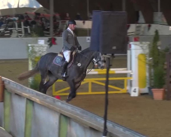 Winterchampionat Essen-Stadtwald 2016